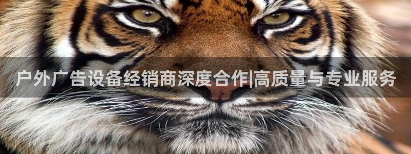 杏宇平台登陆：户外广告设备经销商深度合作|高质量与专业服务