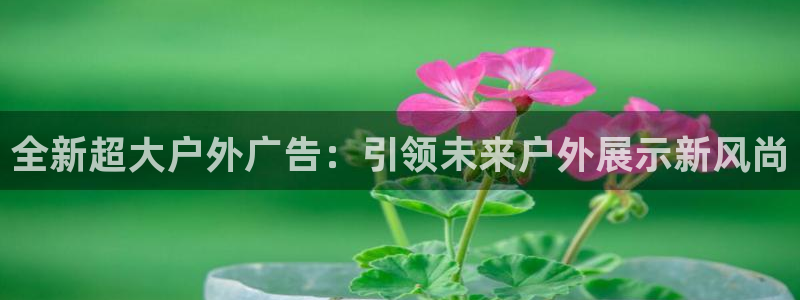杏宇平台代理怎么样赚钱：全新超大户外广告：引领未来户外展示新风尚
