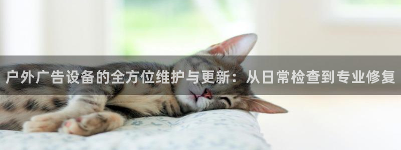 杏宇平台是什么：户外广告设备的全方位维护与更新：从日常检查到专业修复