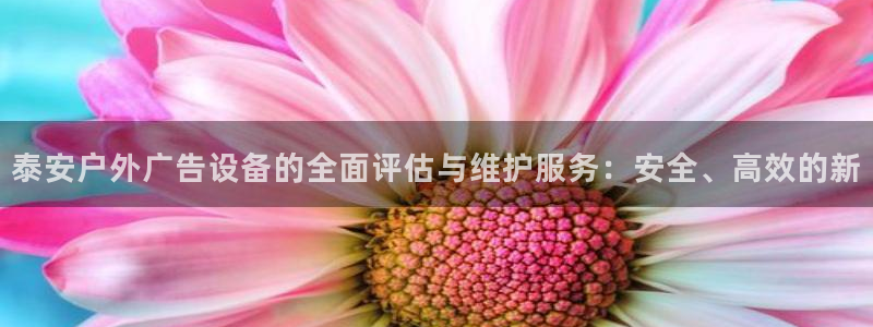 杏宇平台招商：泰安户外广告设备的全面评估与维护服务：安全、高效的新