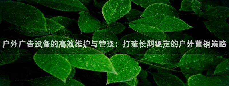 杏宇平台好吗：户外广告设备的高效维护与管
