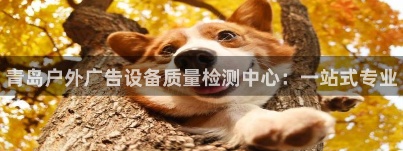 杏宇平台招商怎么样：青岛户外广告设备质量
