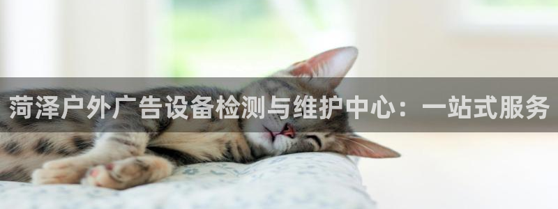 杏宇平台招商电话号码：菏泽户外广告设备检