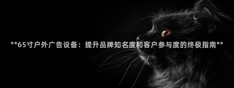 杏宇官方平台官网下载：**65寸户外广告设备：提升品牌知名度和客户参与度的终极指南**