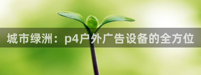 杏宇平台代理怎么样赚钱：城市绿洲：p4户